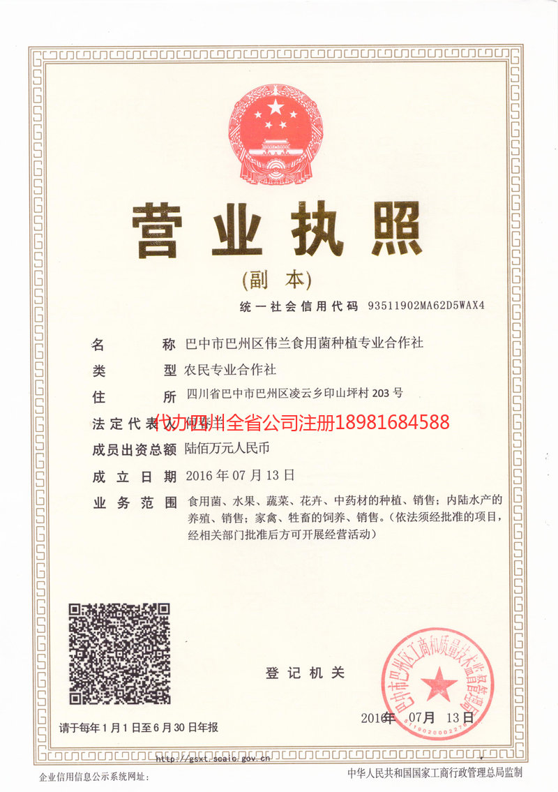 乐平乐平伟兰食用菌种植专业合作社